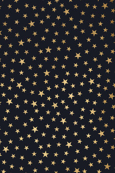 Slika na platnu Stardust At Midnight