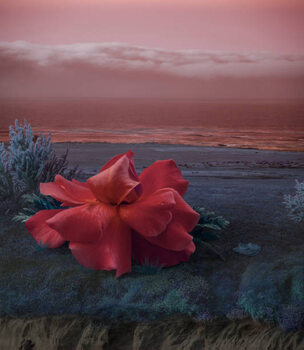 Poster Surreal Giant flower rose