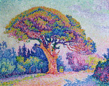 Slika na platnu The Pine Tree at St. Tropez, 1909