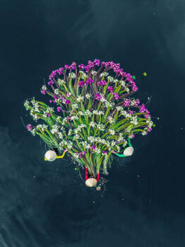 Poster Three Vietnamese women in the Mekong