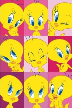 Poster TWEETY - faces