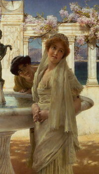 Poster A Difference of Opinion, 1896