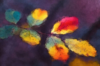 Poster Abstract Autumn Leaves Watercolor Painting