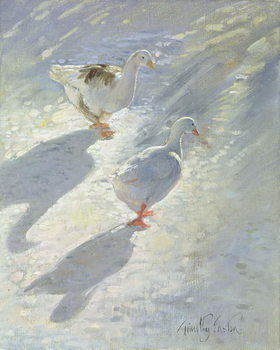 Poster Against the Slope