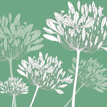 Плакат Agapanthus breeze, 2005