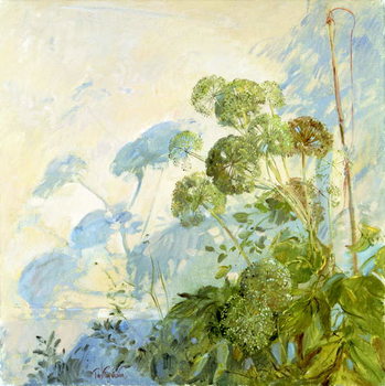 Canvas Print Angelica Shadows