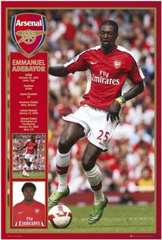 Poster Arsenal - players 12/13  Wall Art, Gifts & Merchandise