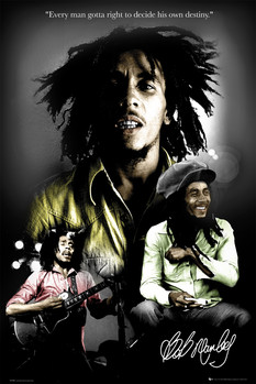 Poster Bob Marley - destiny