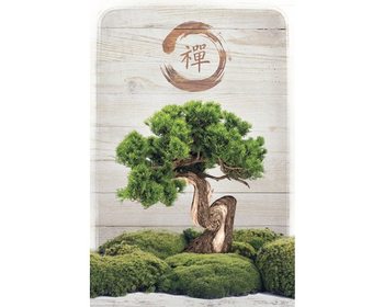 Bonsai Zen Poster