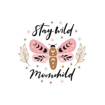 Poster Celestial butterfly vector illustration.