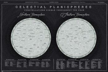 Poster Celestial Planispheres