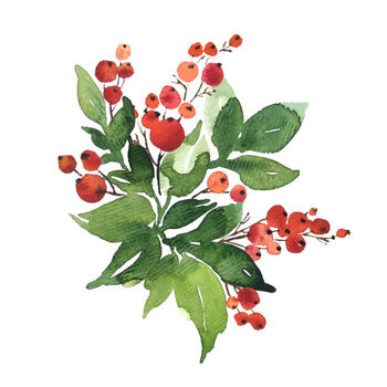 Poster Christmas watercolor bouquet arranging with holly