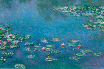 Poster Claude Monet - Waterlillies