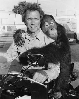 Canvas Print Clint Eastwood And Clyde., Every Which Way