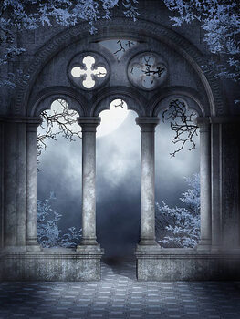 Poster Cloister ruins with vines