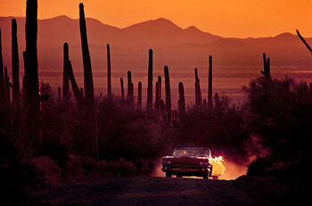 Poster Cowboy Cadillac in Desert by Kevin Cruff