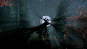 Poster deer with antlers silhouette during the