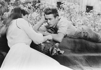 Canvas Print East Of Eden directed by Elia Kazan, 1954