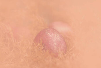 Poster Easter eggs in dry reed grass
