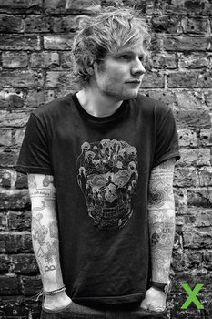 Ed Sheeran - Calendars 2018 on EuroPosters
