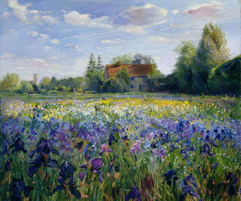 Canvas Print Evening at the Iris Field