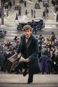 Poster Fantastic Beasts - In rush
