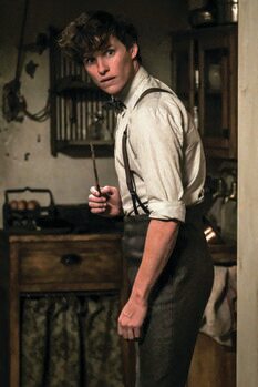 Poster Fantastic Beasts - Newt