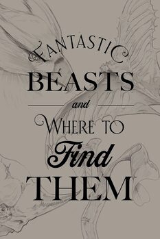 Poster Fantastic Beasts - Where to find them