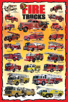 Poster Fire Trucks - Types Overview
