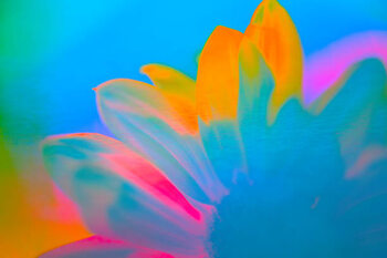 Poster Flower - art/design