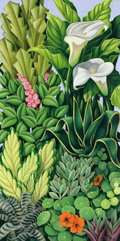 Poster Foliage I, 2003
