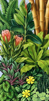 Poster Foliage III