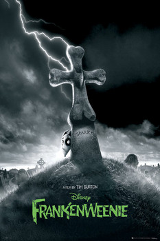 Poster FRANKENWEENIE - teaser