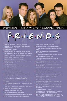 Poster FRIENDS - everything i know