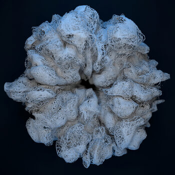 Poster Frozen Particle Explosion,  c.2015-2025