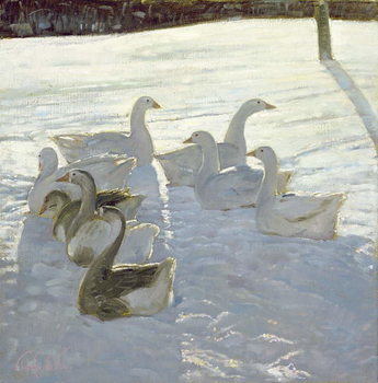 Poster Geese Against the Light