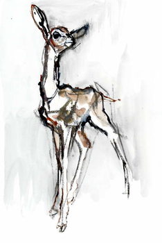 Poster Gerenuk fawn, Sarara, 2018,