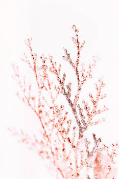 Poster Gold Close-Up Brunch Christmas ornament- Regional