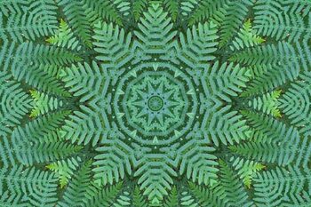 Poster Green Ferns Pattern