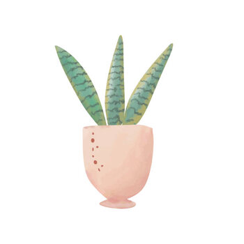 Poster Green house plant in pot isolated