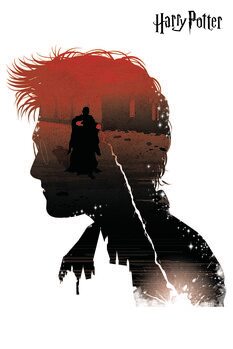 Poster Harry Potter and Lord Voldemort