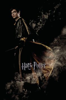 Canvas Print Harry Potter and the Goblet of Fire - Cedric