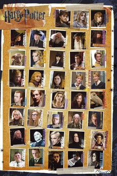 Poster Harry Potter - Characters