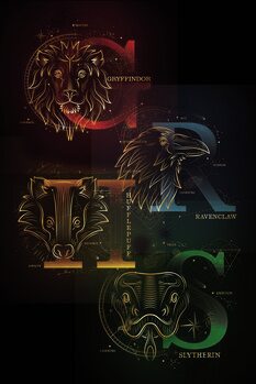 Poster Harry Potter - Dormitories