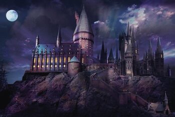 Плакат Harry Potter - Hogwarts night