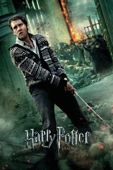 Poster Harry Potter - Neville Longbottom
