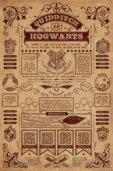 Poster Harry Potter - Quidditch
