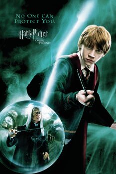 Canvas Print Harry Potter - Ron Weasley