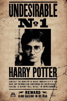 Poster XXL Harry Potter - Undesirable no.1