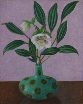 Poster Hellebores with Viburnum Leaves, 2015